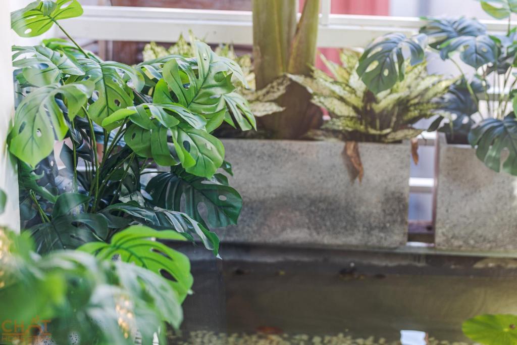 Homestay#PTC#Bathtub#Romantic#HoanKiem