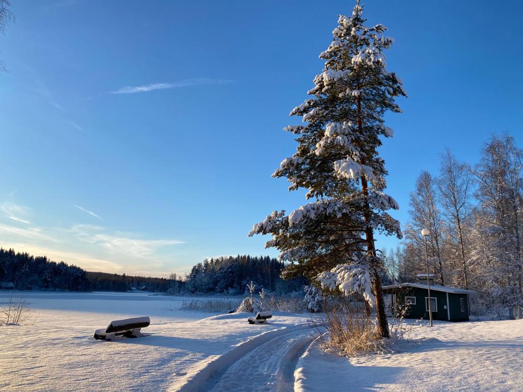 Salonsaaren Lomakylä photo 3