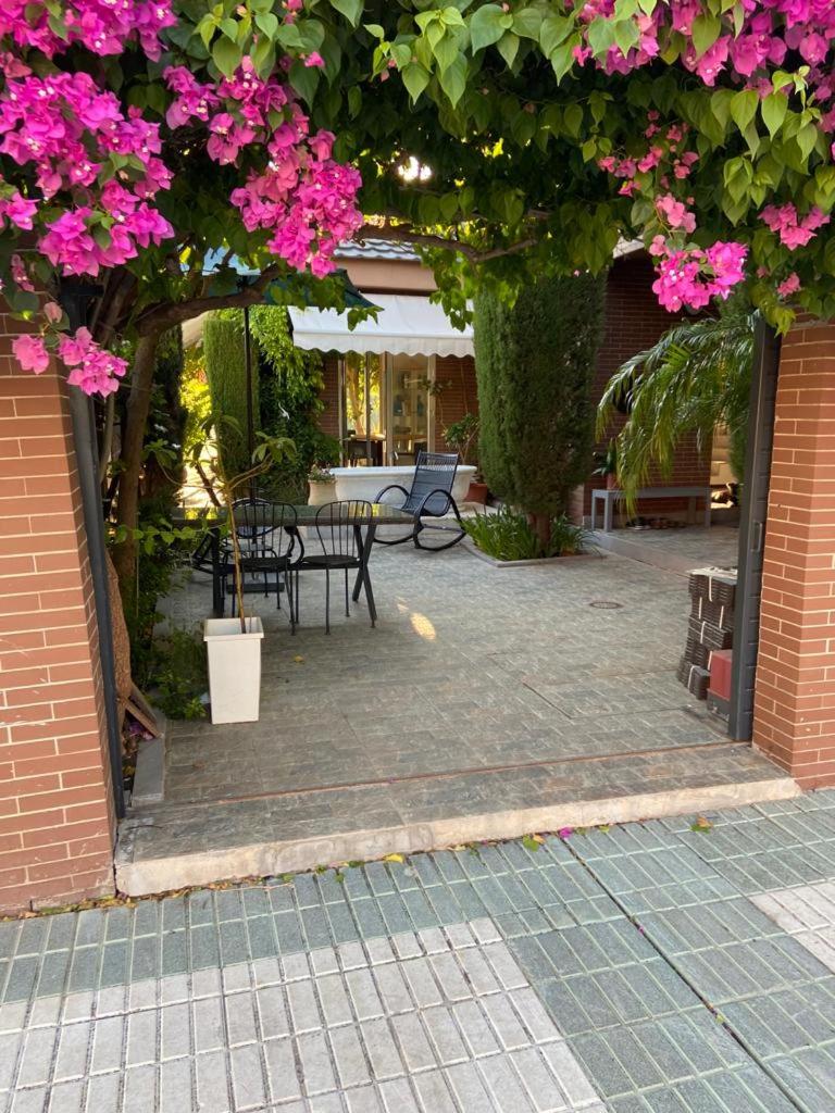 Paz y tranquilidad, a un paso de Sevilla photo 1