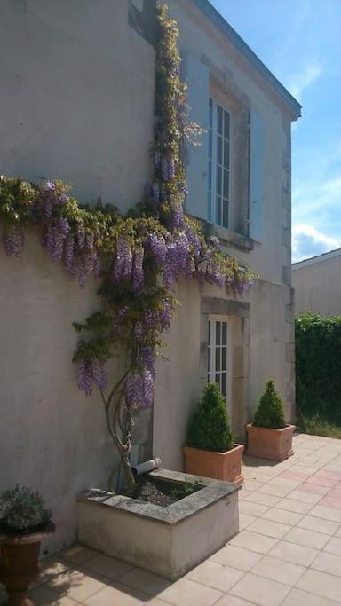 Vaste maison 23/29 pers. piscine proche des plages photo 3