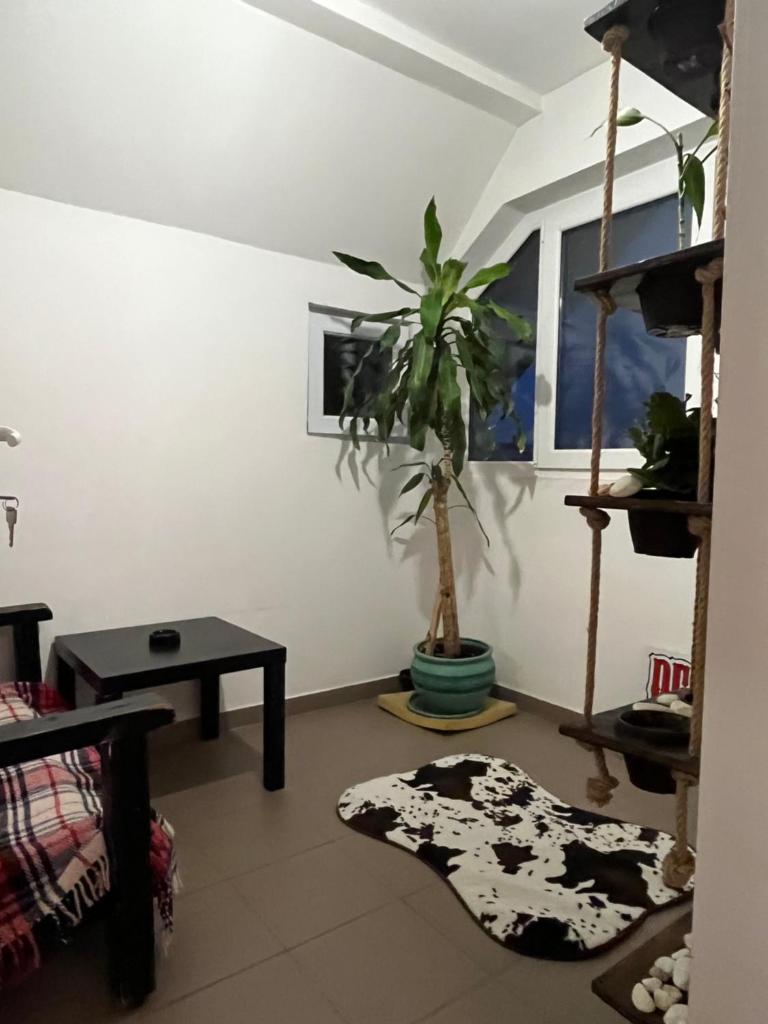 O mansarda intima :) - the intimate attic :) photo 2