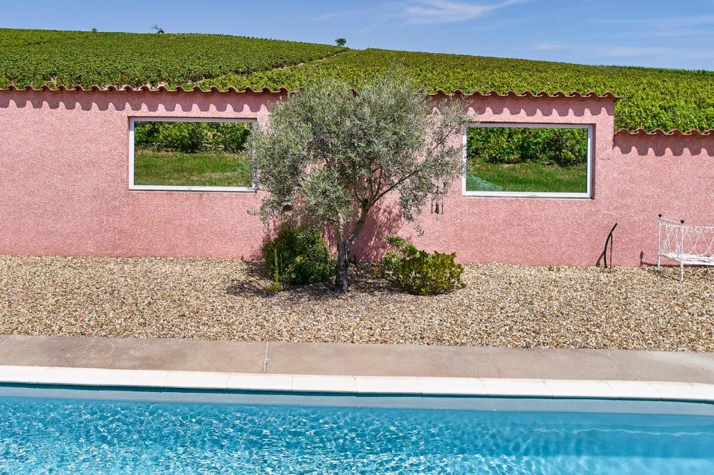 Les Glycines - Domaine Gilles Coperet photo 3