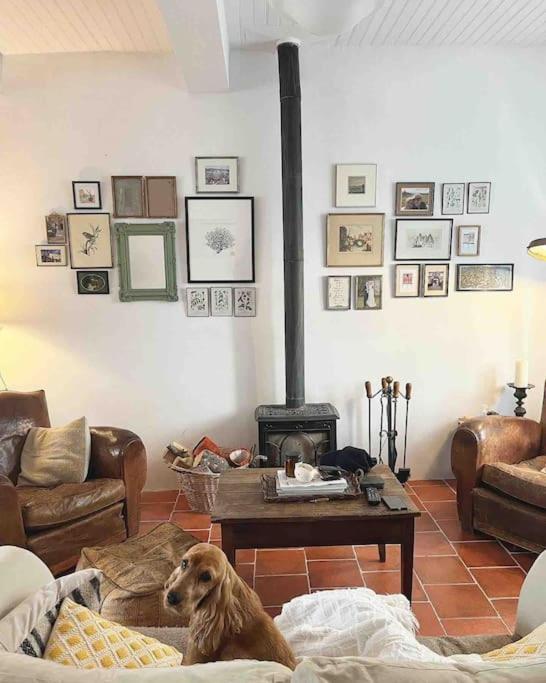 La Maison de Mama C: Charming french village home photo 1