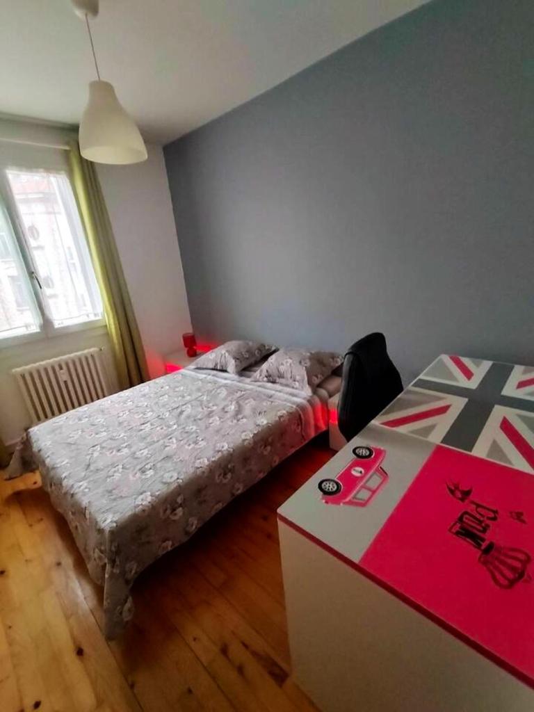 Appartement de 2 chambres avec vue sur la ville jardin clos et wifi a Saint Etienne photo 1