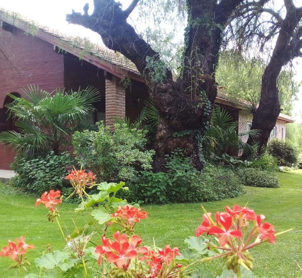 Libertad Posada y Spa photo 3