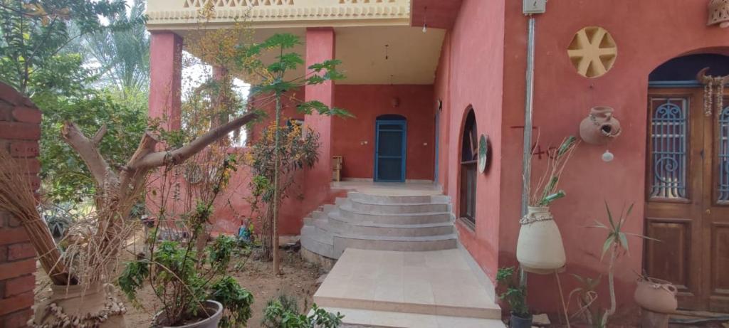 Tunis eco-lodge studio