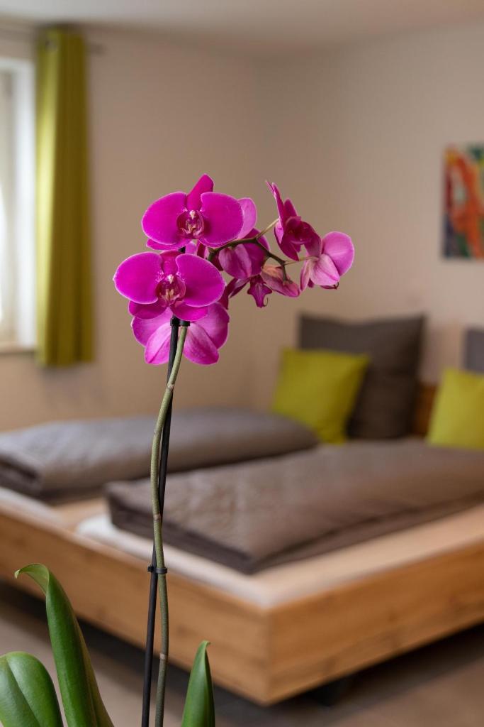 Apartment Alte Raiffeisenkasse Rothenburg ob der Tauber photo 1