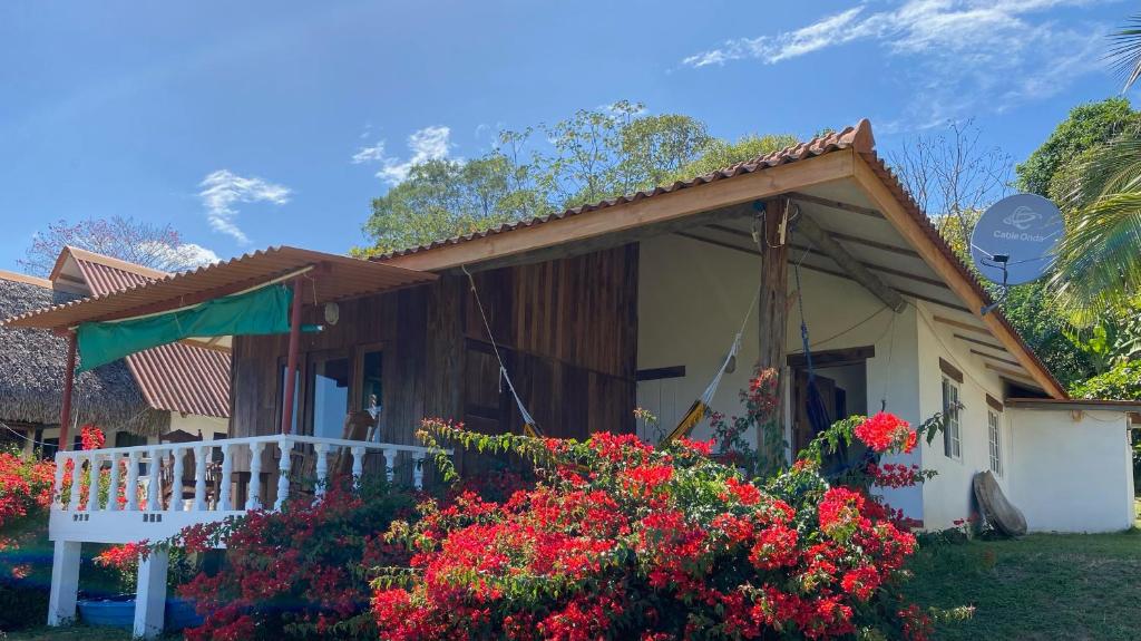 Casa Iguana photo 2
