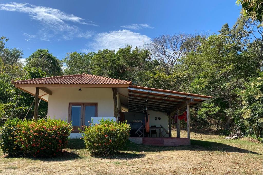 Casa Iguana photo 1