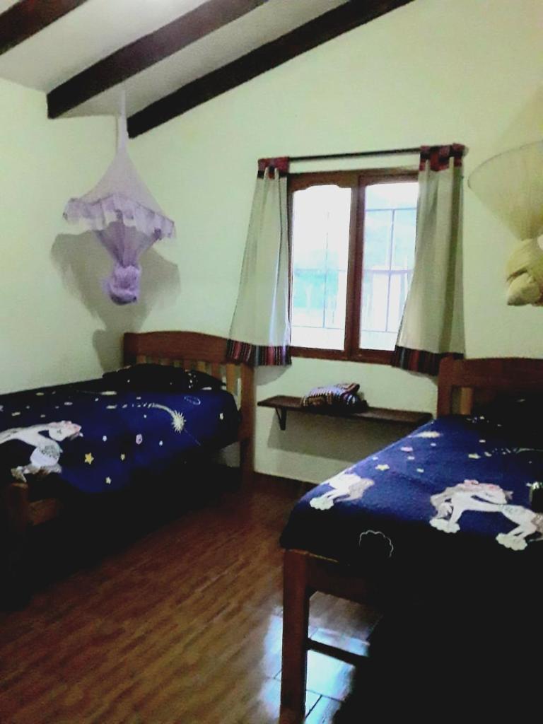Casa Amaranta photo 2