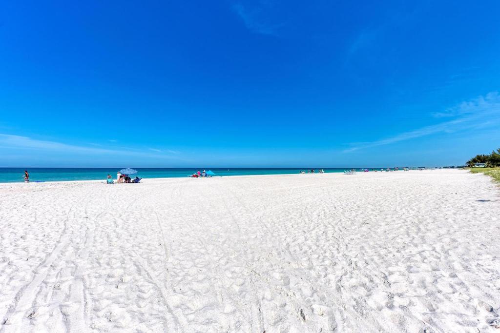 Anna Maria Island Beach Palms 6B photo 1