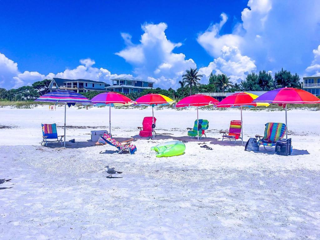 Anna Maria Island Beach Palms 6B photo 2