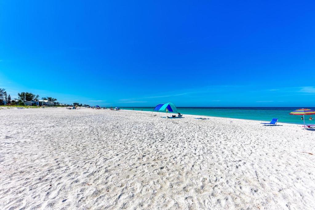 Anna Maria Island Beach Palms 6B photo 3