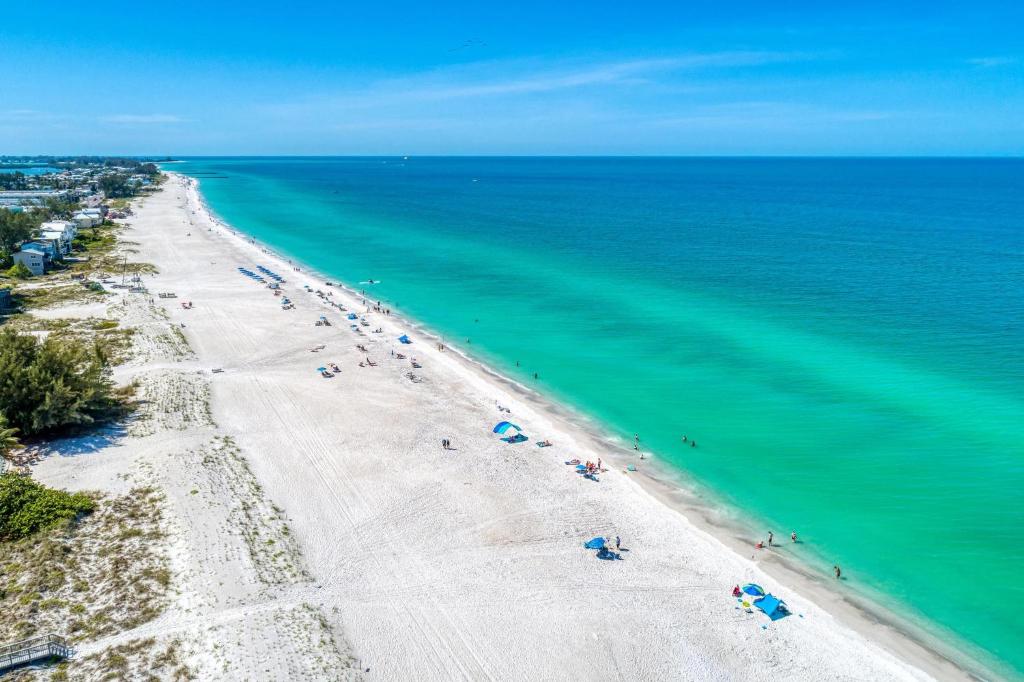 Anna Maria Island Beach Palms 6B photo 4