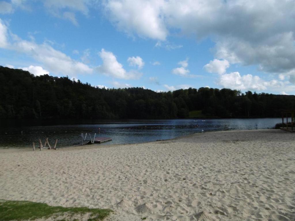 Twistesee Ferienhaus 110 photo 3