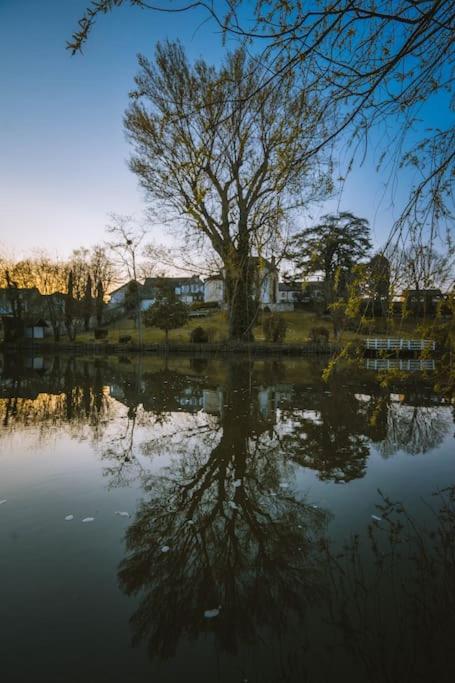 Le chalet du bout du monde, en bord de rivière ! photo 4