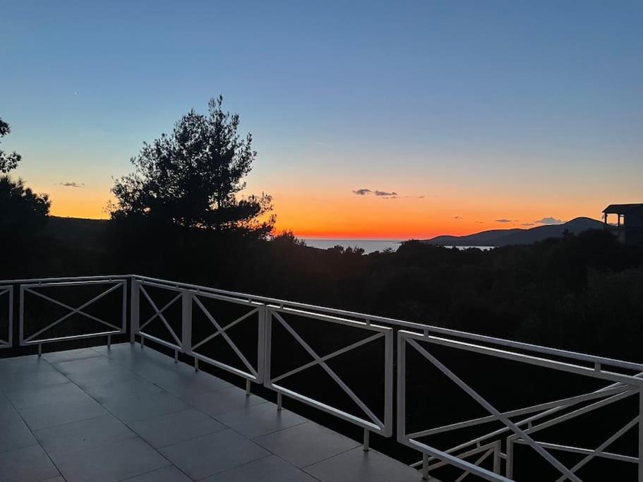 Villa Thetis photo 3