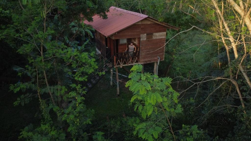 Tree house Hostel Sigiriya photo 2