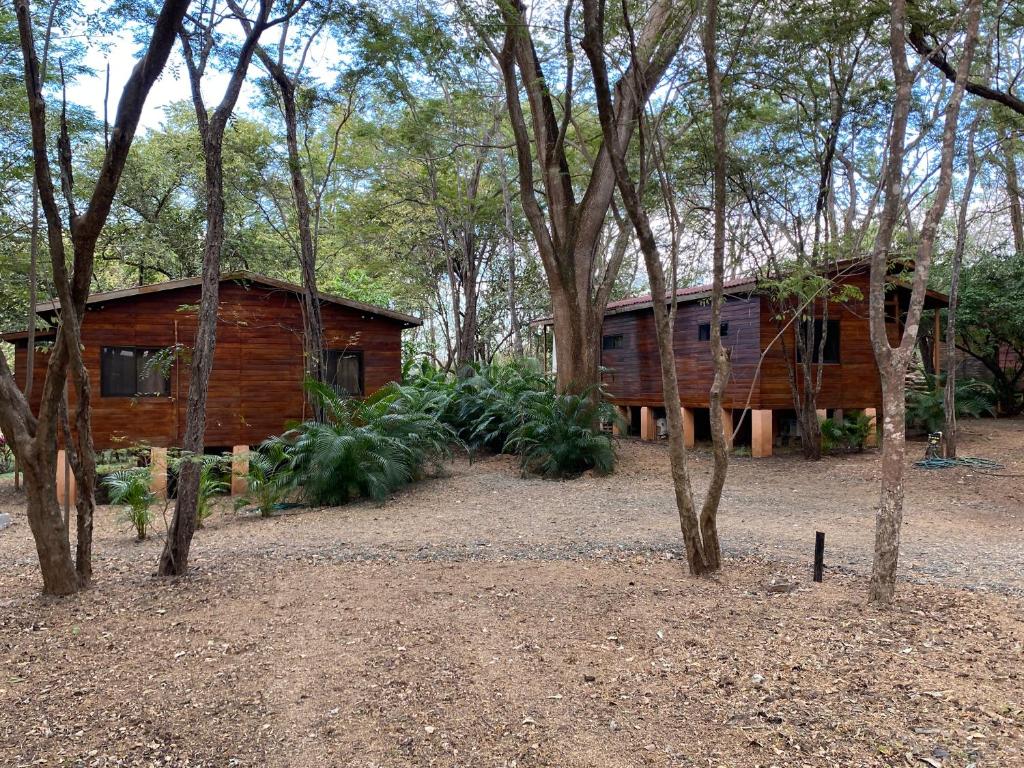 CASA NATURAL photo 2