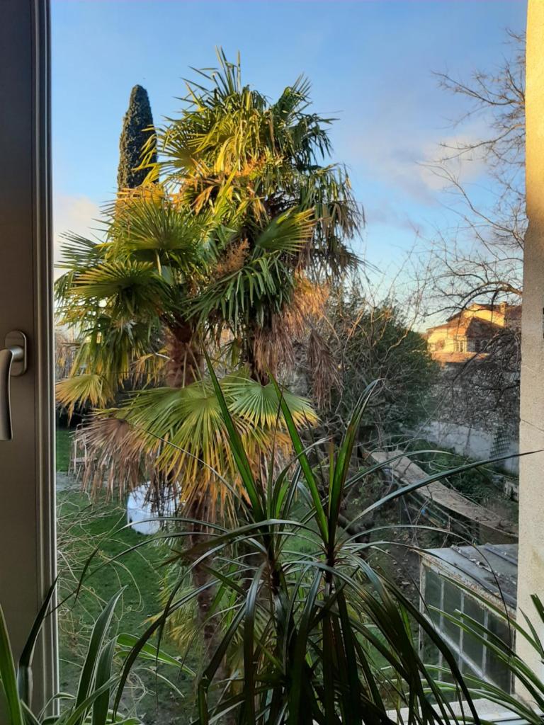 Maison Saint James photo 2