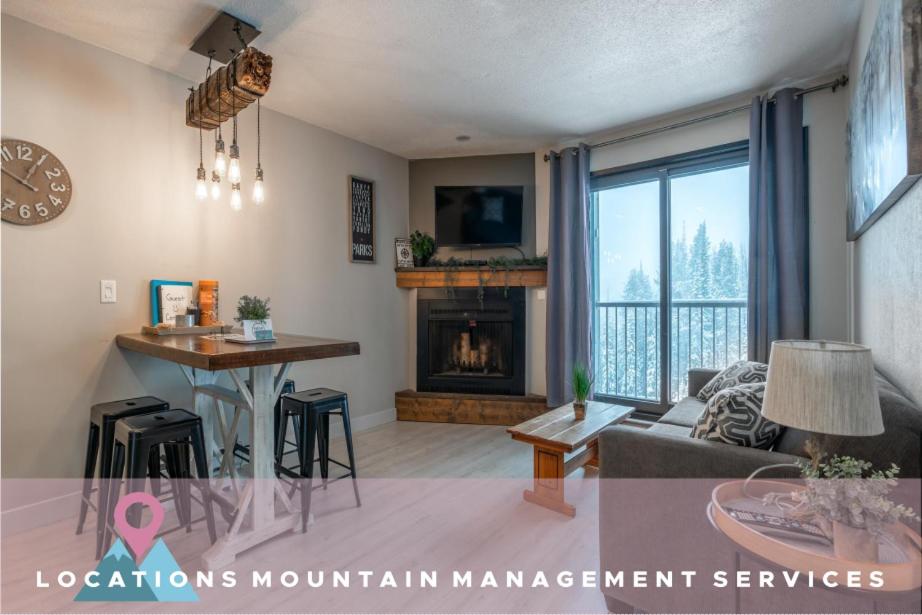 Nest on Perfection - Newly Renovated Ski In Ski Out Mountain View Condo