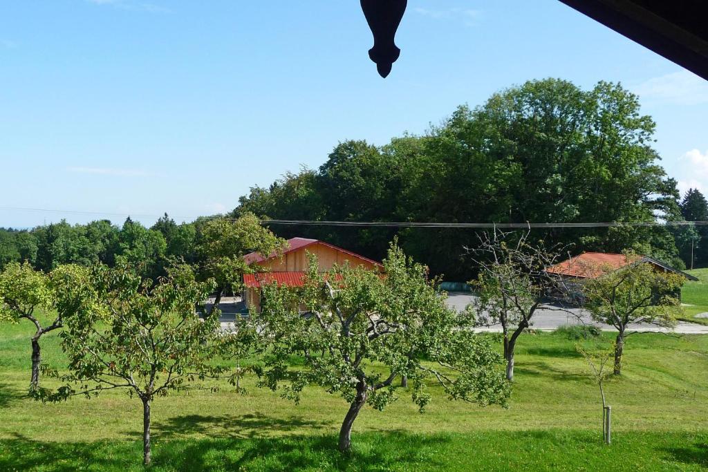 Ferienwohnung Soyer-Hof photo 1