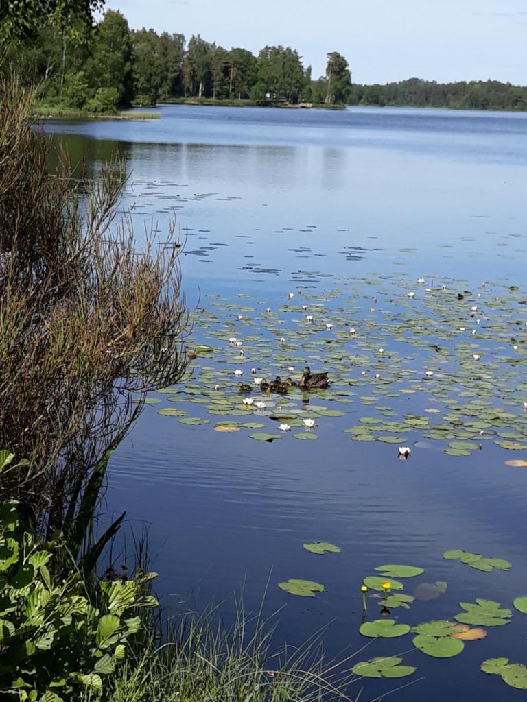 Unterkunft am See photo 1