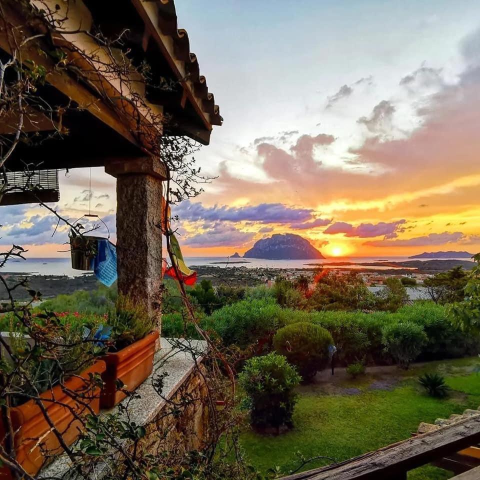 Villa Acchiappasogni photo 1