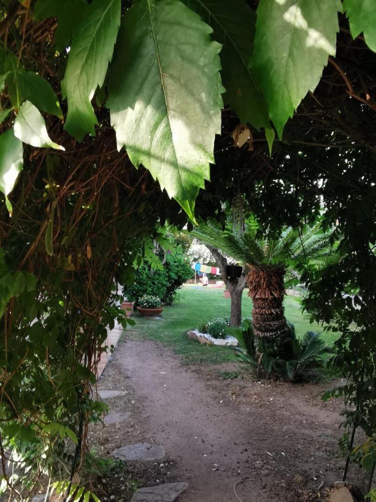 Villa Acchiappasogni photo 2