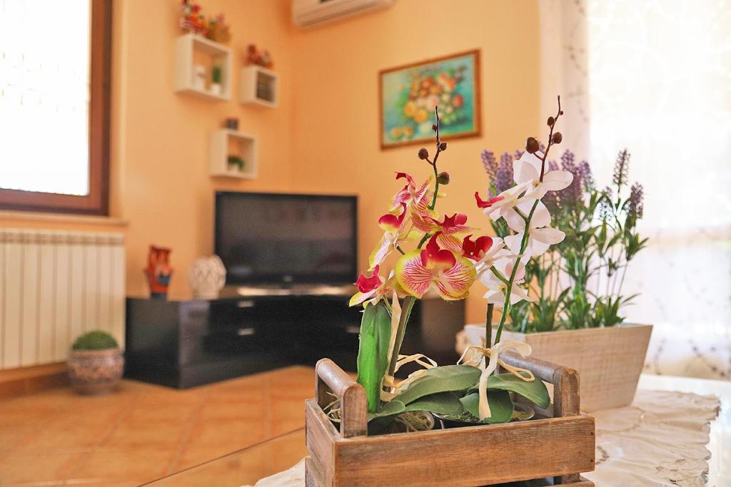 Lucy's cottage photo 3