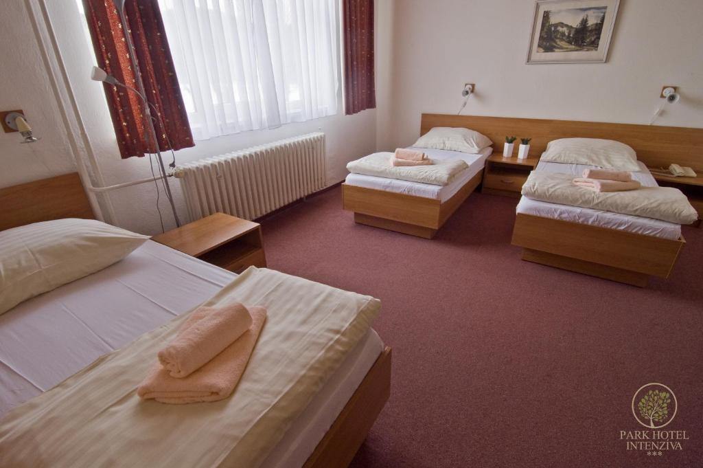 Сьюит (Люкс), Park Hotel Intenzíva