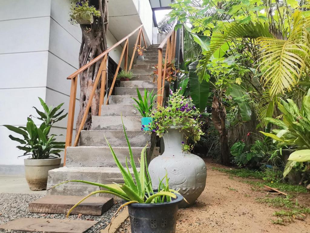 Nilupul Villa photo 2