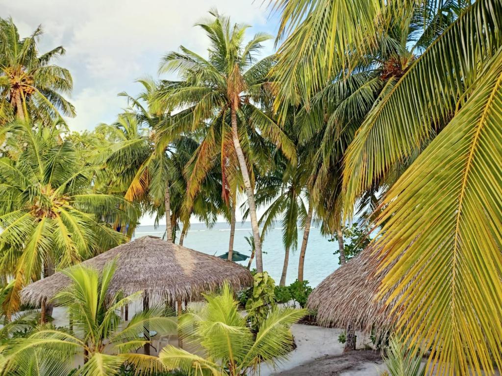 Island Life Maldives Retreat & Spa photo 2