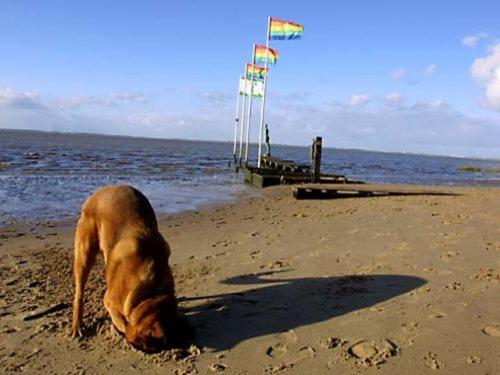 Ferienhaus Cordes, FeWo Vermittlung Nordsee photo 3