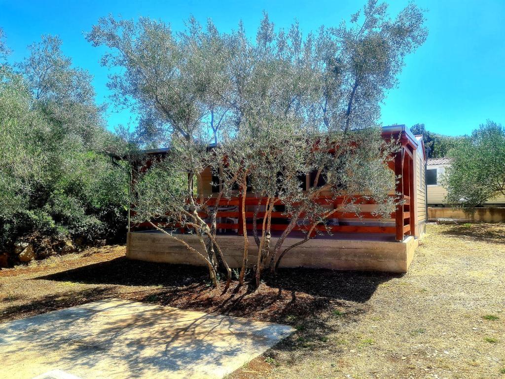 Gabi Mobile home photo 3