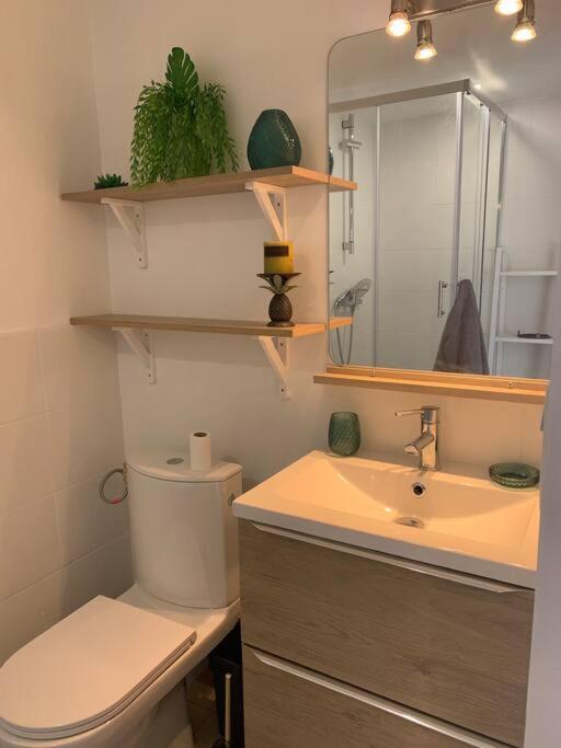 Charmant petit appartement proche du pic St loup photo 3