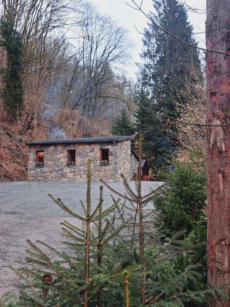 Le Ri de Vâ Maboge La Roche en Ardenne photo 2