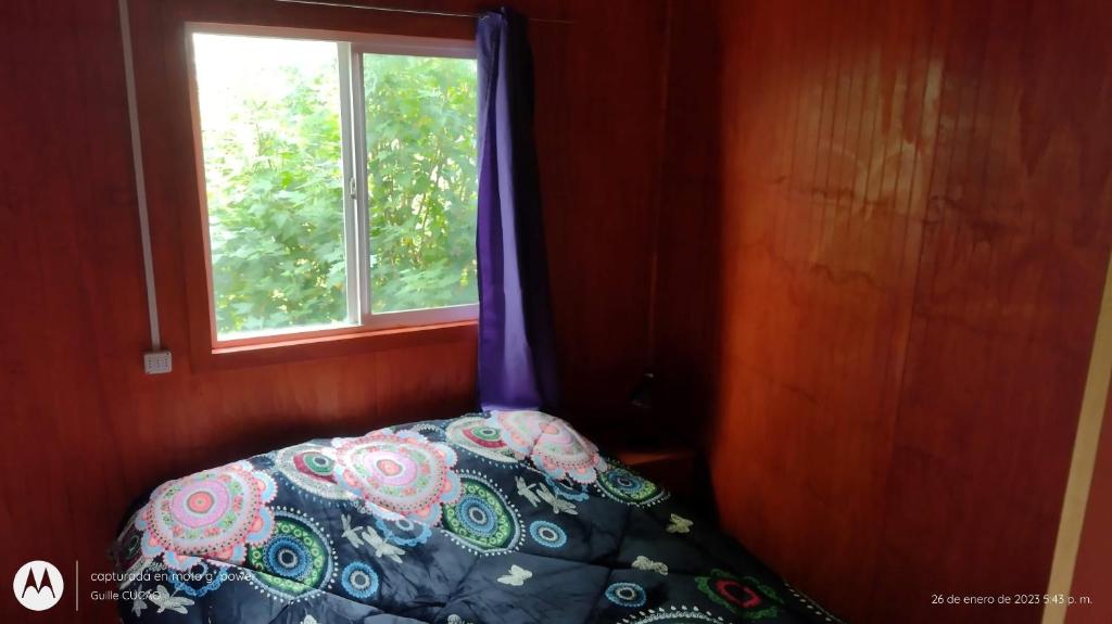 Cucao Chiloe photo 1