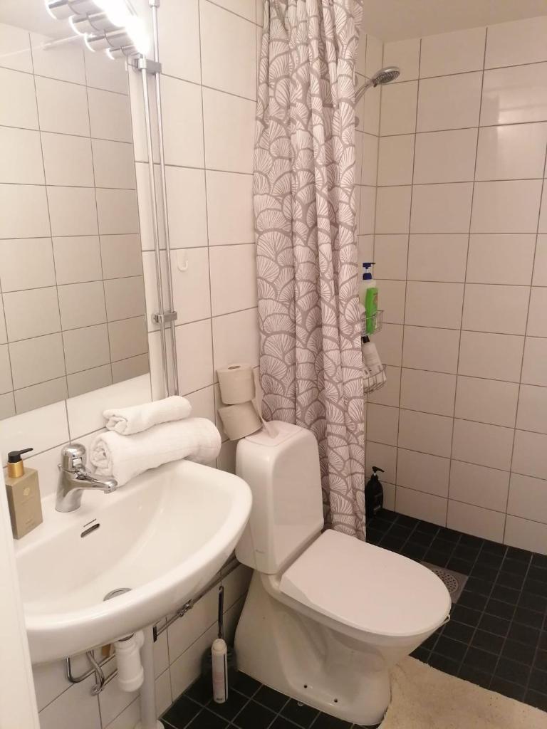 Ett rums lägenhet med egen ingång, parkering photo 4