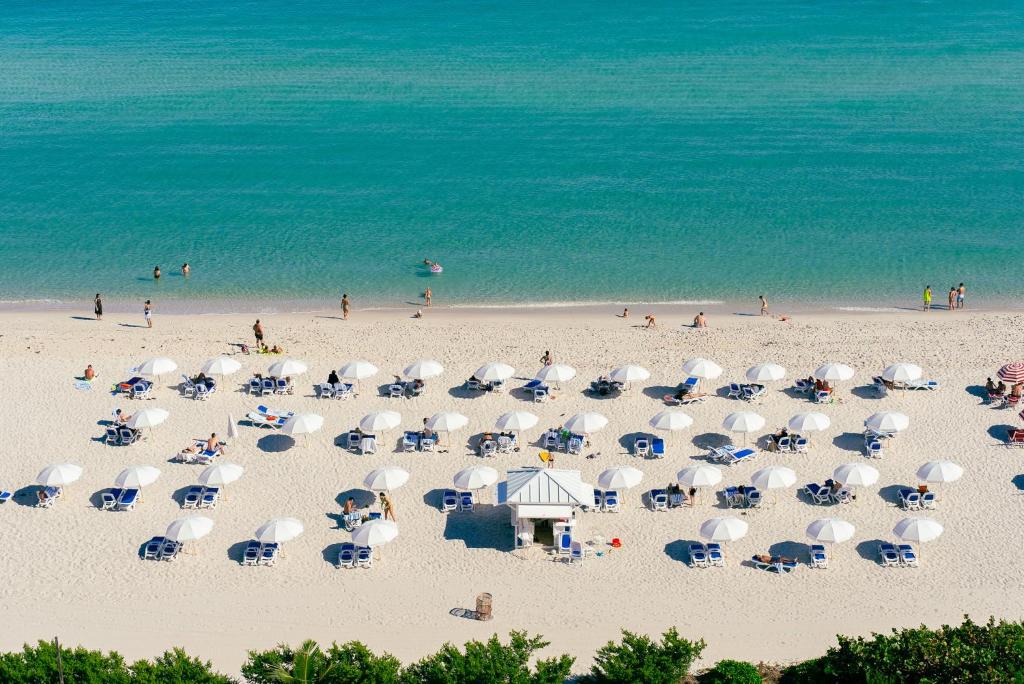 Ocean 2 Sky at Monte Carlo Miami Beach image