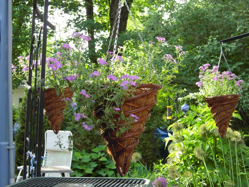 L'Arvidienne Couette et Café photo 2
