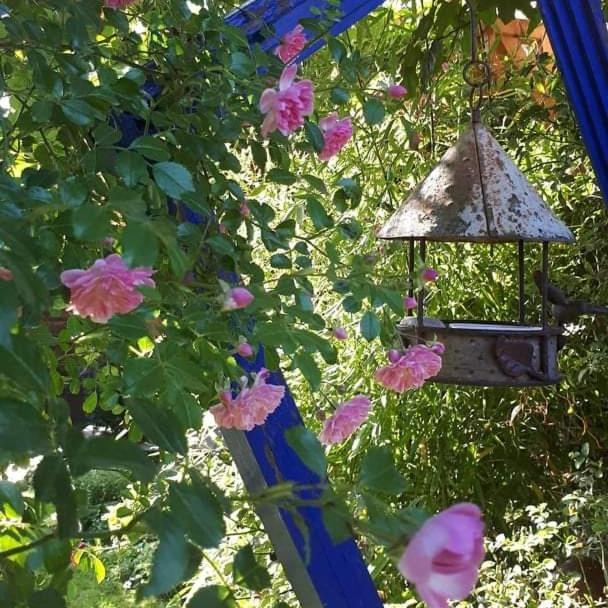La cabane du bon chemin ,spa photo 4
