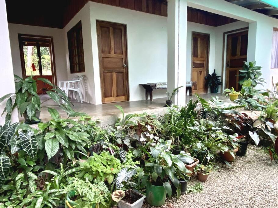 Casa Briza photo 2