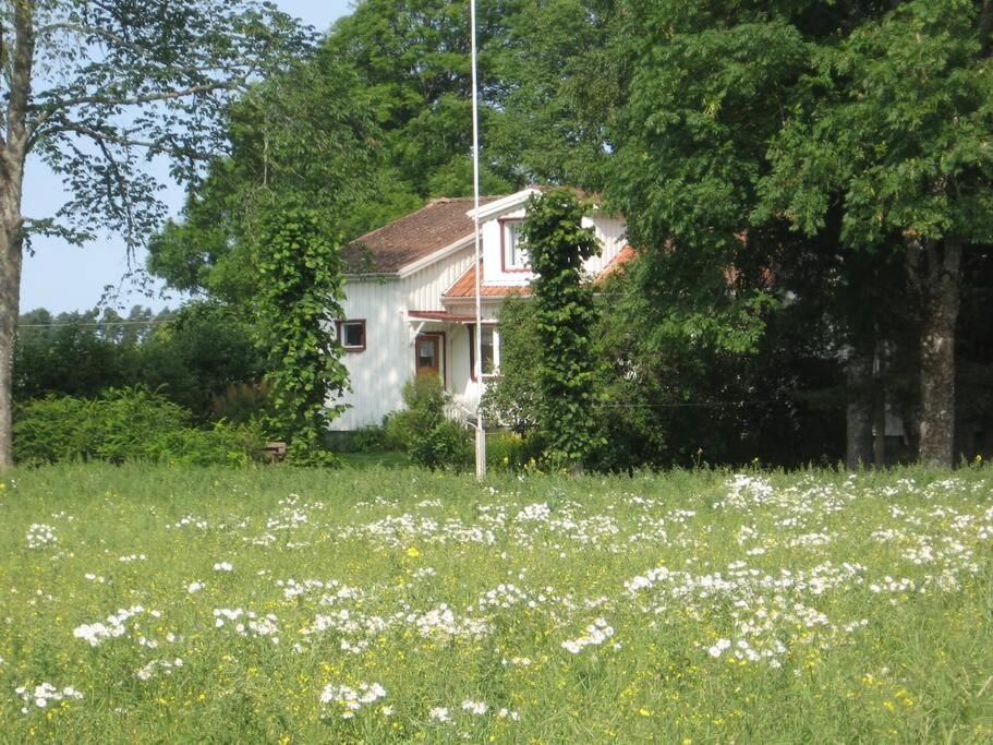 Vesteby Hus - a peaceful stay in the countryside! photo 4