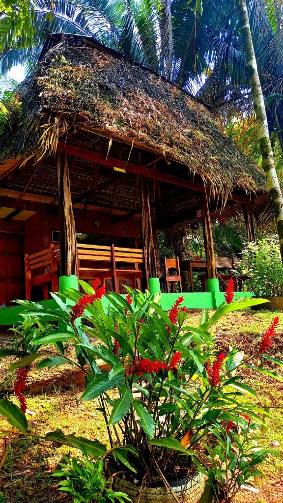 Encanto Lodge photo 1