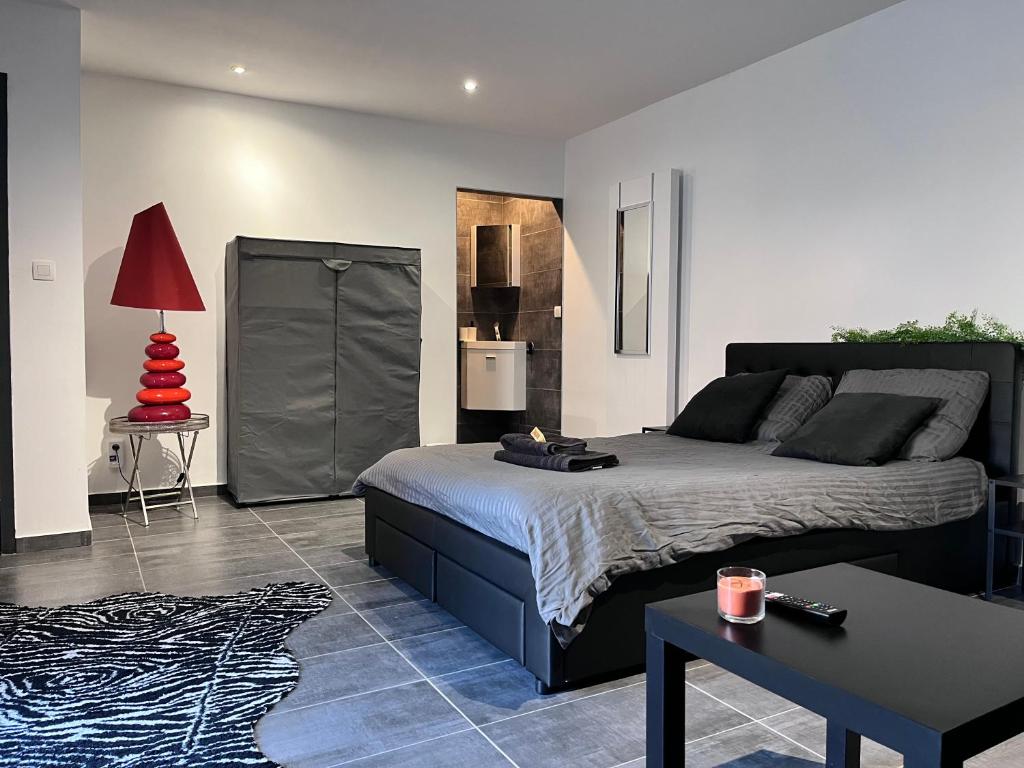 Chambre studio tout confort photo 4