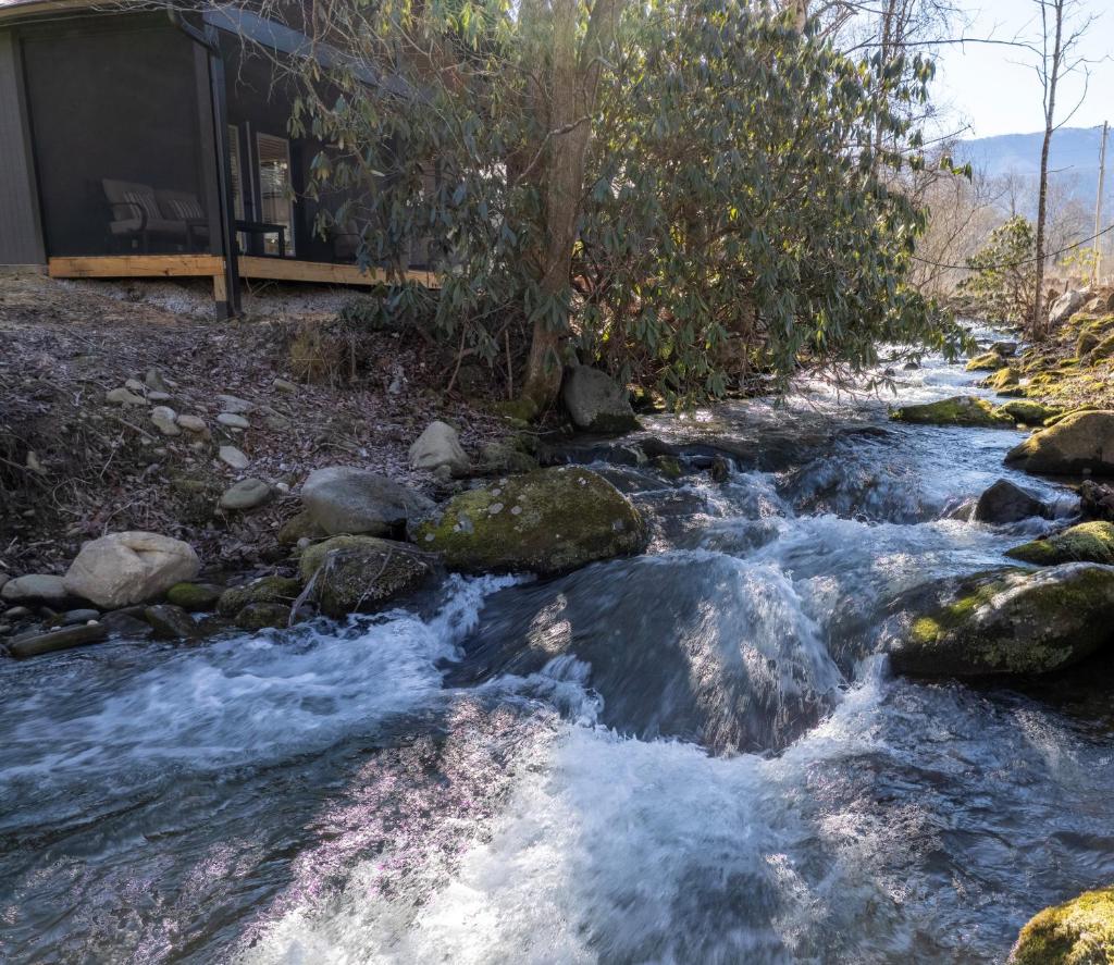 The Chalet At Greenbriar Creek - King Studio - Creekside and the National Park image