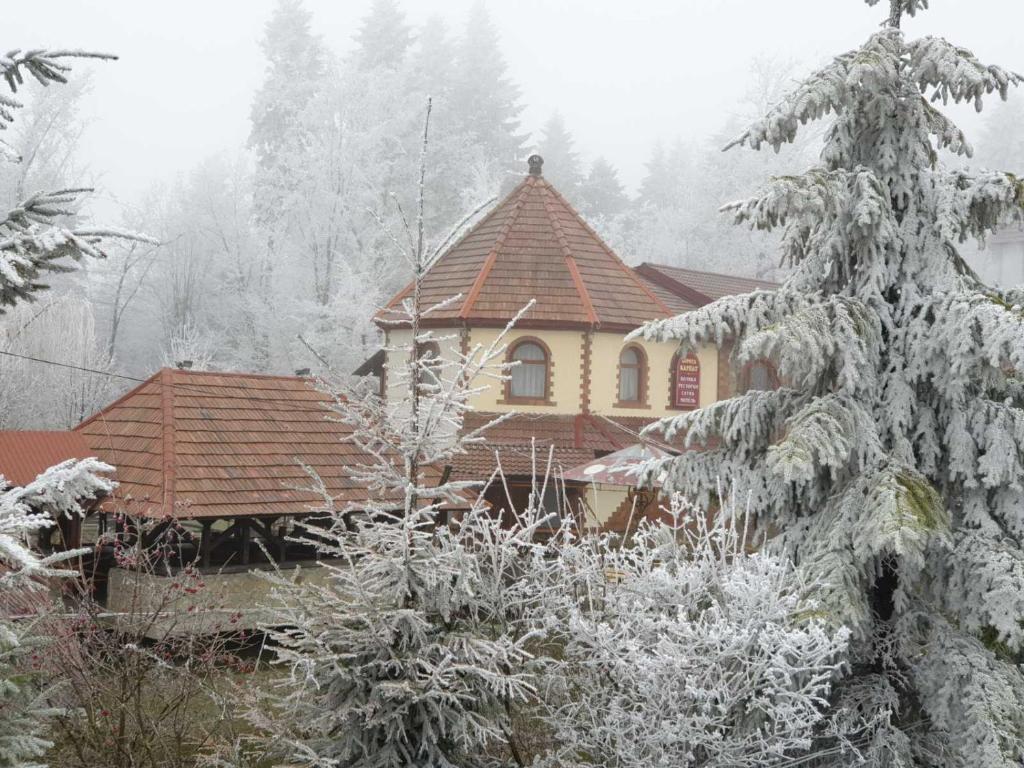 Ворота Карпат photo 3