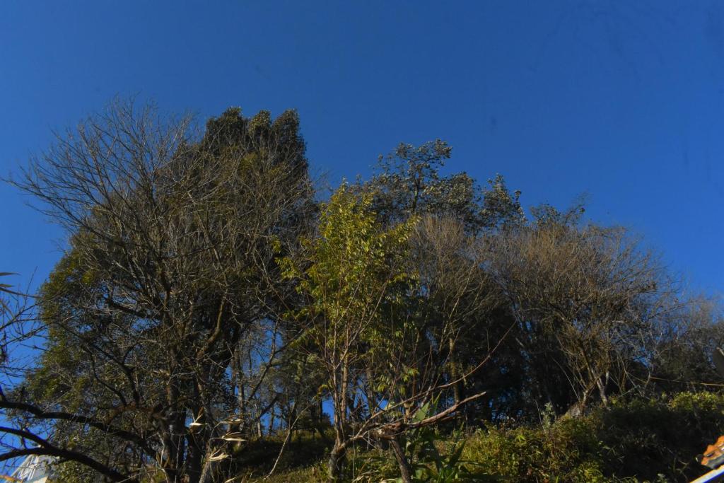 Tay Bac Sky Homestay