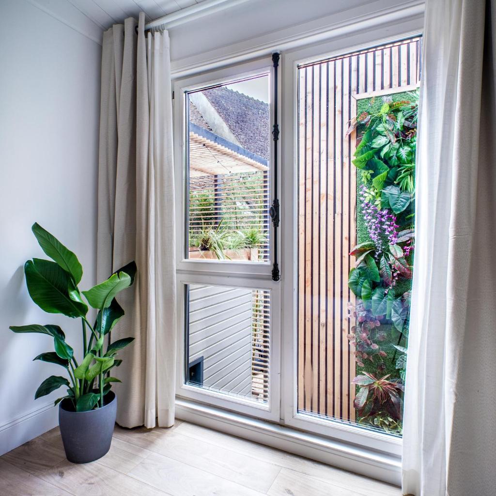 MAYA Appartements & Suites photo 2